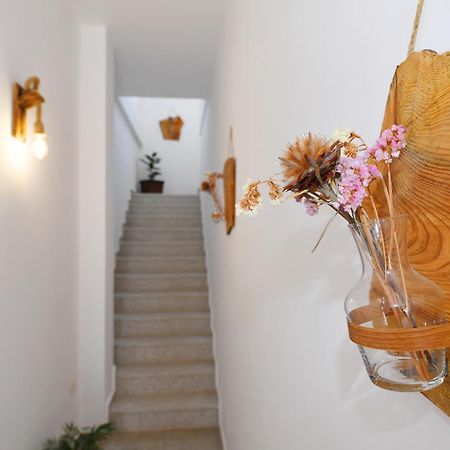 City Nest شكودر المظهر الخارجي الصورة