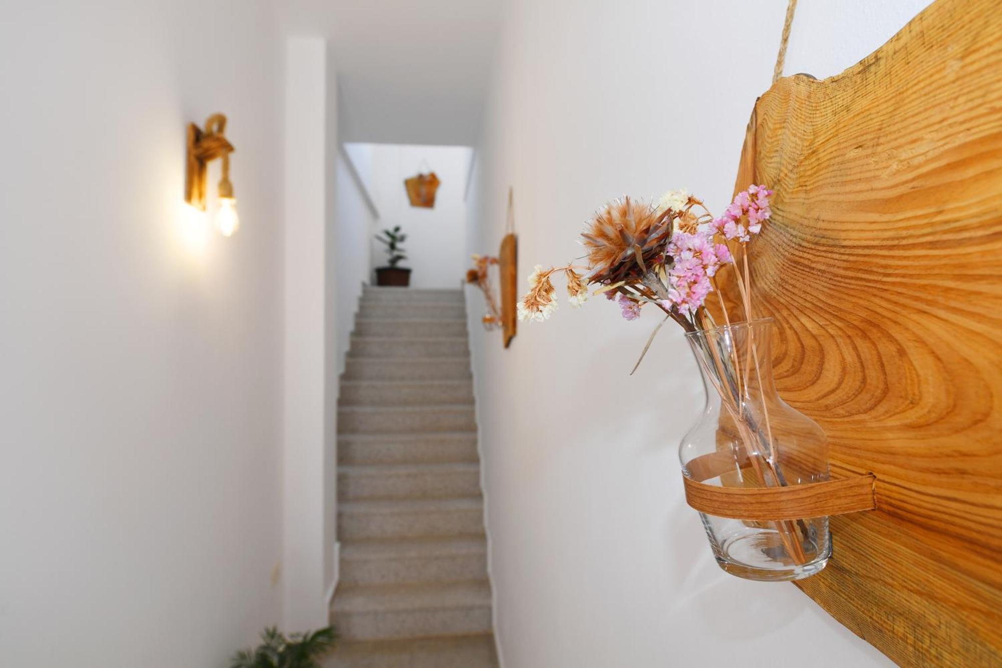 City Nest شكودر المظهر الخارجي الصورة